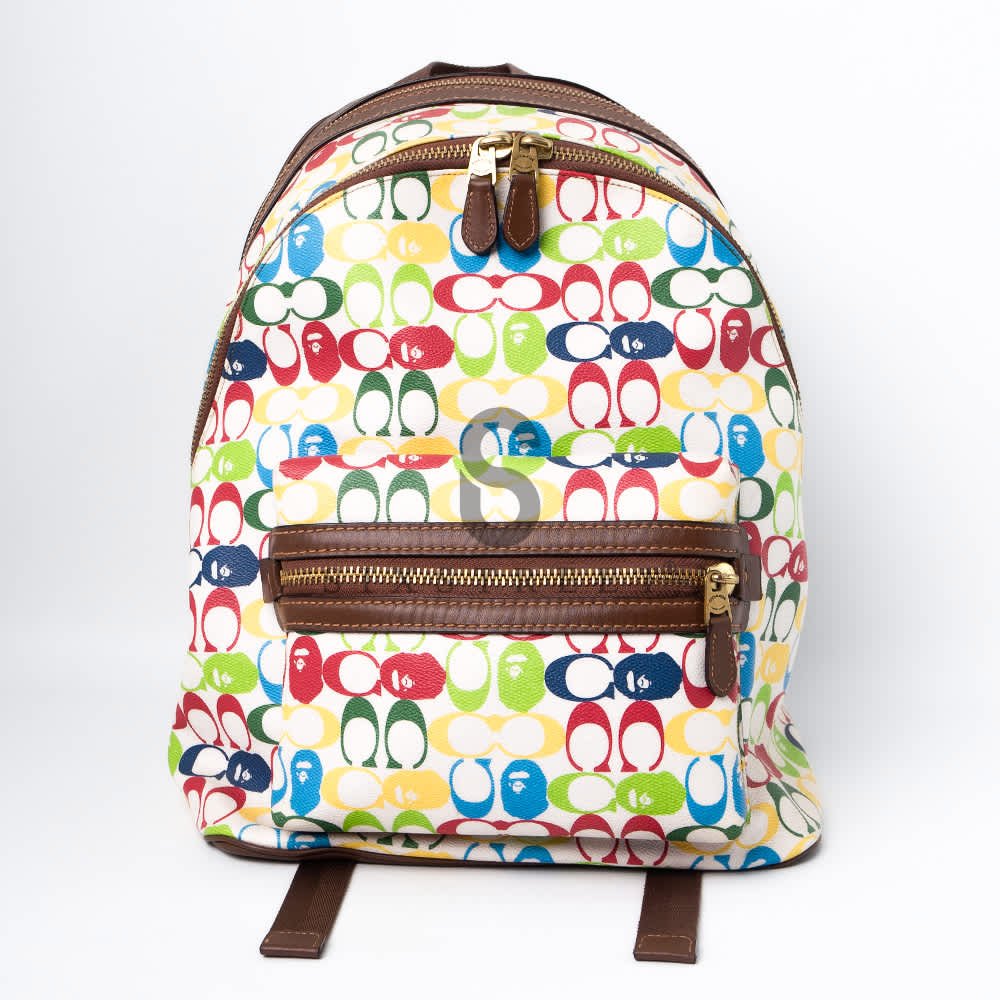 BAPE Backpack x Coach Multicolour